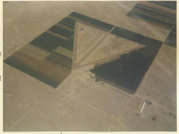 �G���~���[�W���S�i