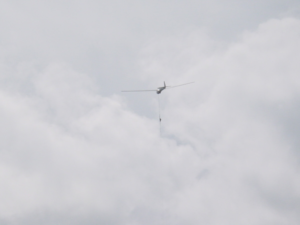 �g�q���E�O